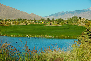 Cimarron Golf Resort - Palm Springs Golf Course 
