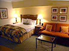 Rooms at Desert Springs Resort