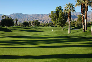 Desert Springs Resort Palm Course - Palm Springs Golf Course 05